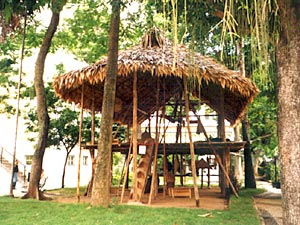 Exposicoes passadas jura casa wajapi