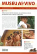 jornal site n27 thumb