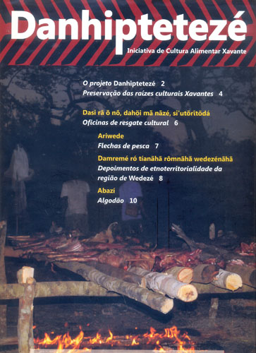 danhipteteze 2010
