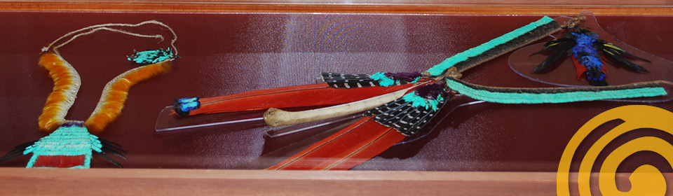 Museu do Índio - Coleções