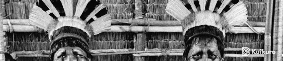 banner_kuikuro8.jpg