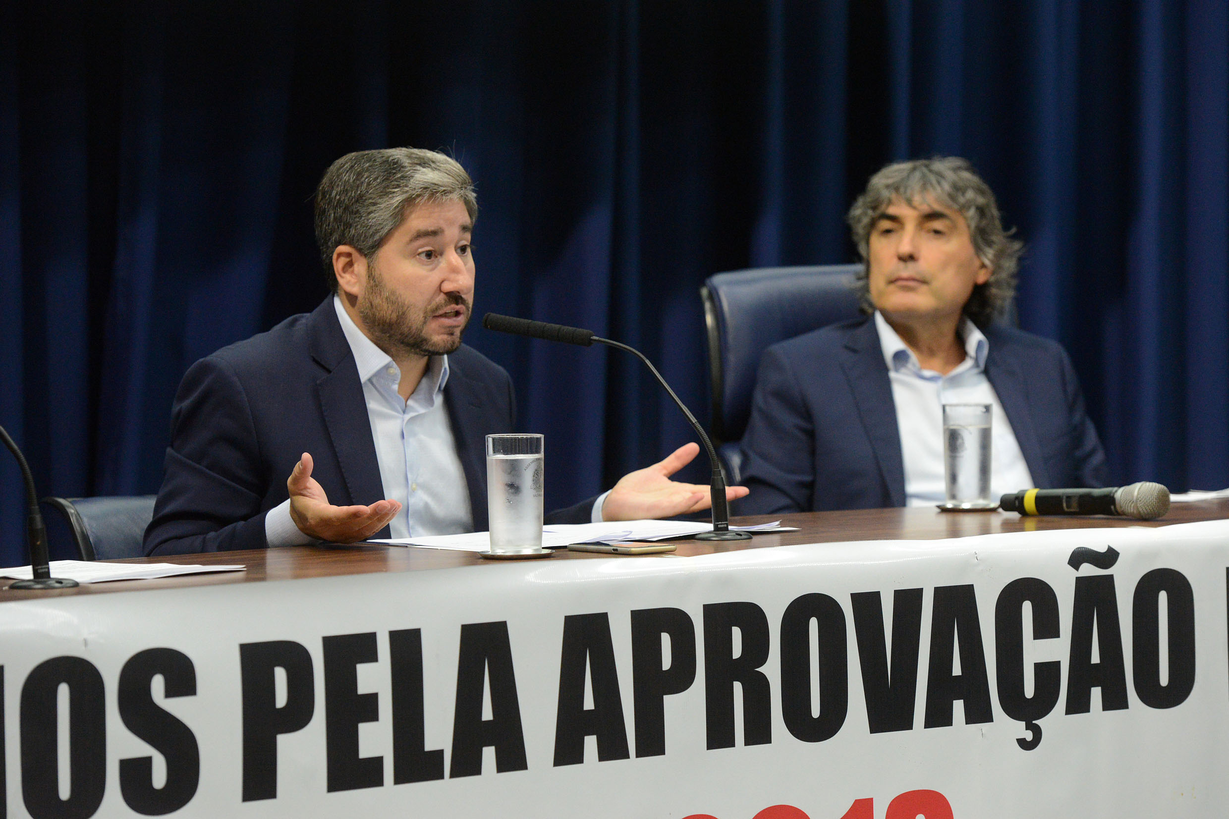 Fernando Cury e Carlos Giannazi<a style='float:right;color:#ccc' href='https://www3.al.sp.gov.br/repositorio/noticia/N-02-2019/fg230791.jpg' target=_blank><i class='bi bi-zoom-in'></i> Clique para ver a imagem </a>