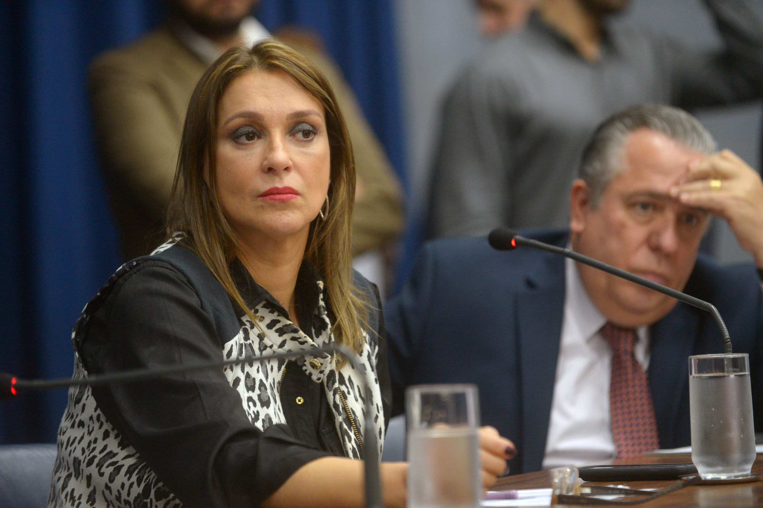  Rita Passos<a style='float:right;color:#ccc' href='https://www3.al.sp.gov.br/repositorio/noticia/N-06-2018/fg225041.jpg' target=_blank><i class='bi bi-zoom-in'></i> Clique para ver a imagem </a>