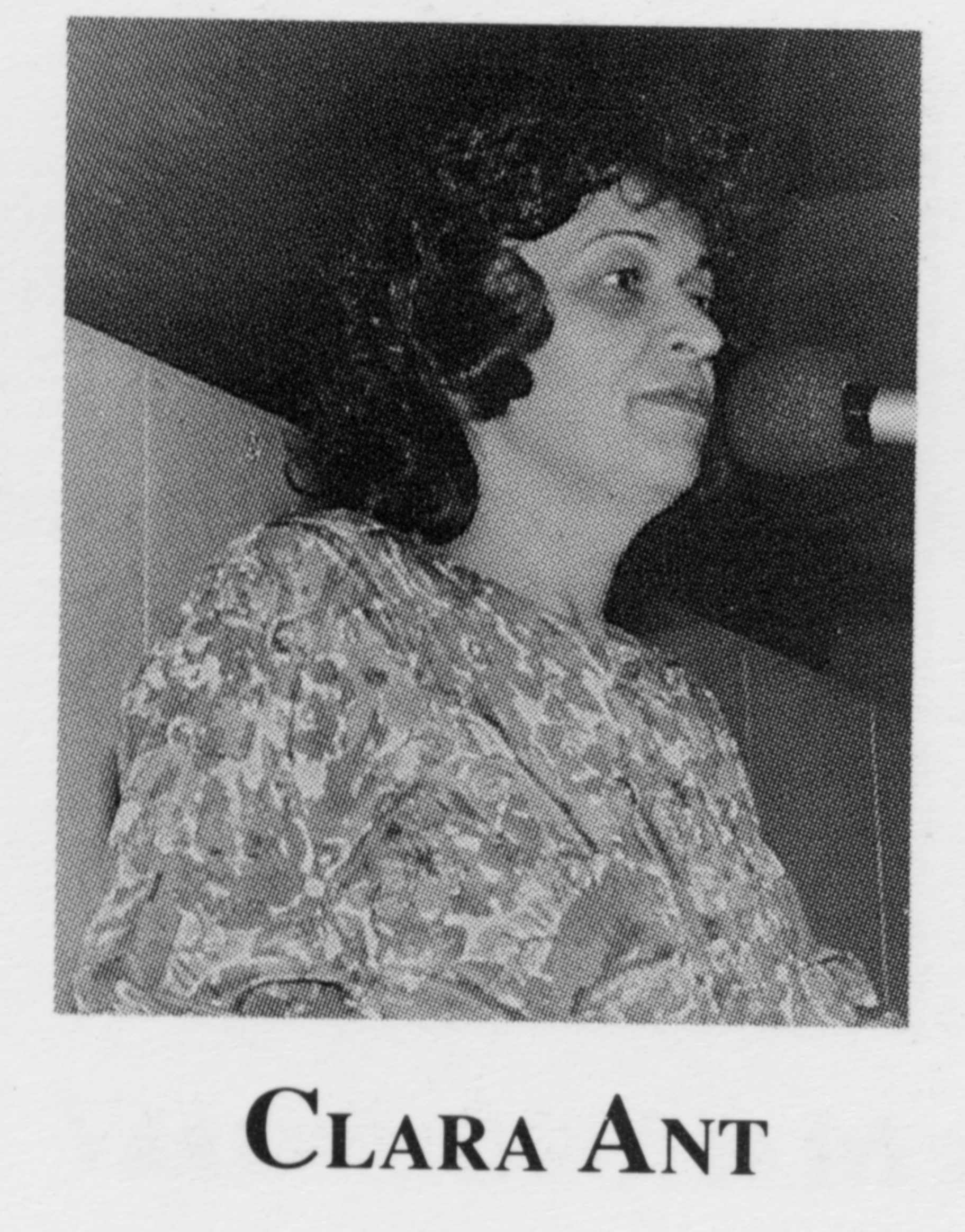 Clara Ant