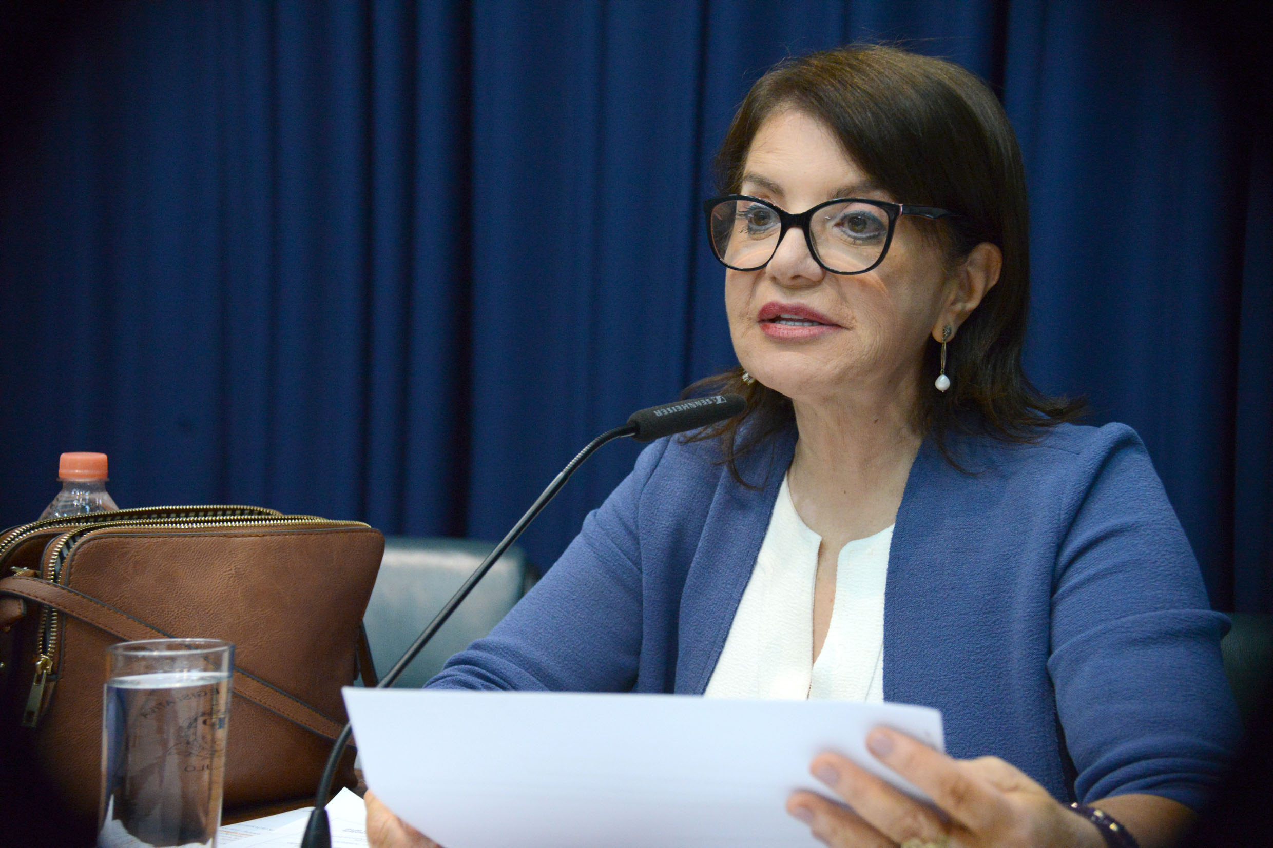 Professora Bebel preside a comiss�o<a style='float:right;color:#ccc' href='https://www3.al.sp.gov.br/repositorio/noticia/N-12-2019/fg245086.jpg' target=_blank><i class='bi bi-zoom-in'></i> Clique para ver a imagem </a>